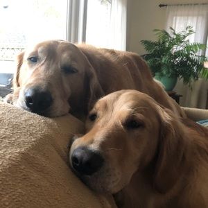 Meet your Posher, Torie